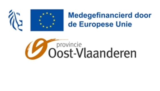 Organisatie